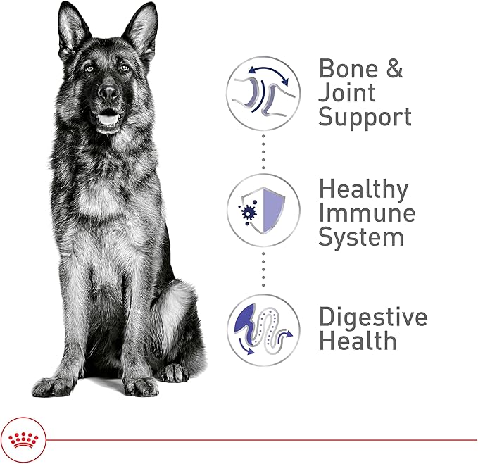Royal Canin Size Health Nutrition Large Adult Dry Dog Food, 30 lb Bag