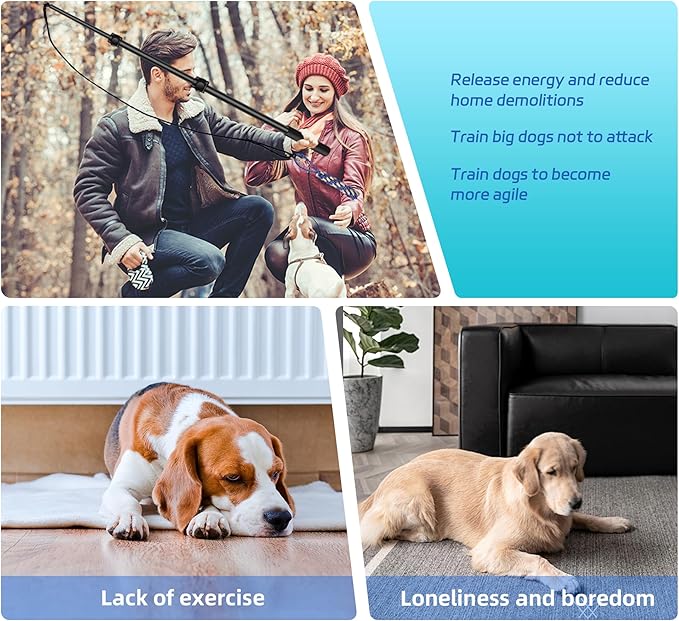 Flirt Pole for Dogs: Durable Dog Rope Toy for Small Medium Large Dogs - Interactive Dog Toys Chase and Tug of War - Lure Chewing Toy for Outdoor Exercise Training