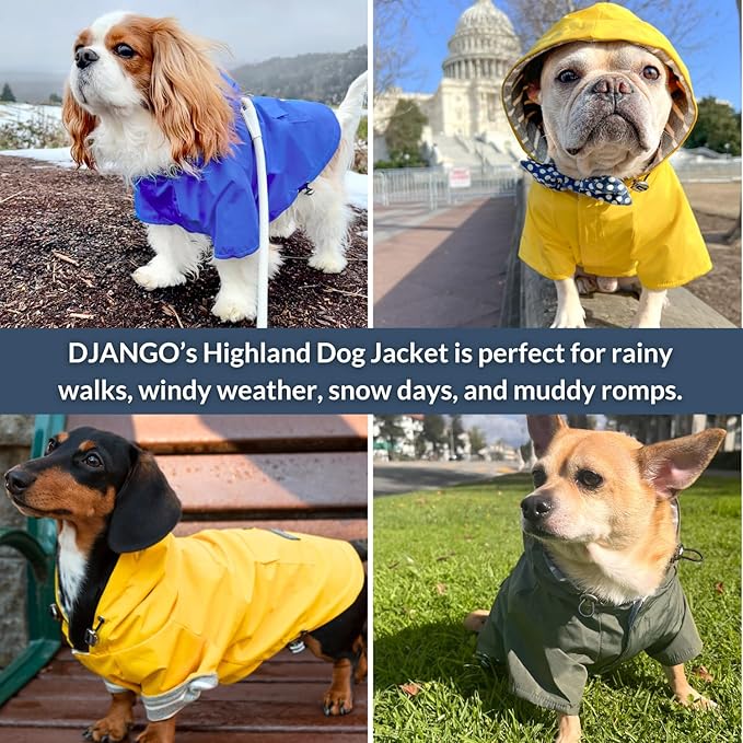 DJANGO Highland Dog Jacket & Raincoat – Water-Repellent, Lined Dog Coat with Hood, Adjustable Fit & Harness Hole – Lightweight Rain & Wind Jacket for Small & Medium Dogs up to 30 lbs (Yellow, X-Small)