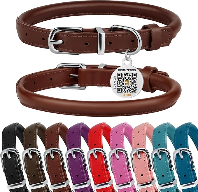BRONZEDOG Rolled Leather Dog Collar for Small Medium Large Dogs with QR ID Tag (S: 12-14 Inch, Chocolate Brown)