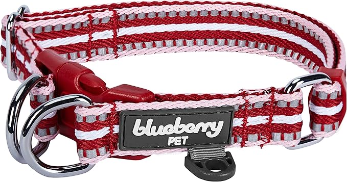 Blueberry Pet Safety Dog Collar with Dual D-Rings | 3M Reflective Multi-Colored Adjustable Collar in Marsala Red and Pink | Soft Nylon Dog Collar for Active Medium Dogs