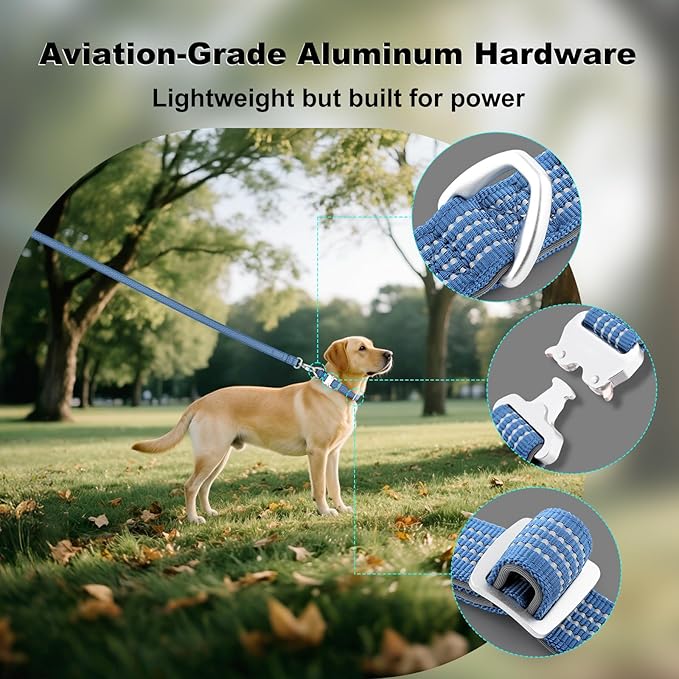 Plutus Pet Reflective Dog Collar with Aviation Aluminum Buckle, Neoprene Padded for Comfort, Lightweight, Heavy Duty Nylon Collar for Puppy Small Medium Large Dogs (Blue, M)