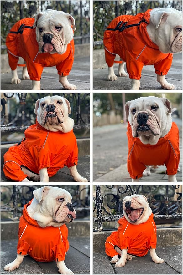 Dogs Waterproof Jacket, Lightweight Waterproof Jacket Reflective Safety Dog Raincoat Windproof Snow-Proof Dog Vest for Pugs English French Bulldog American Pit Bull Orange B-L