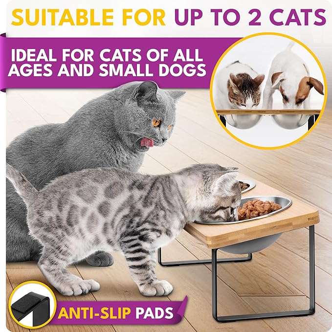Raised cat Bowls for Indoor Cats by WinTruffles, Elevated cat Bowls, Tilted and Elevated Anti Vomiting Cat Dishes for Food and Water, Set of 2 Stainless Steel Bowl