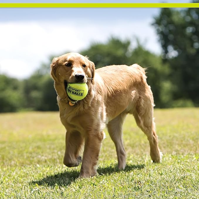 PetSport USA 4" Giant Tuff Balls for Large Dogs [Pet Safe Non-Toxic Industrial Strength Tennis Balls for Exercise, Play Time & Dog Training](3 Pack)
