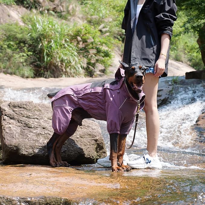 LOVELONGLONG Waterproof Dog Raincoat with Removable Hood – Outdoor Full Body Dog Jacket, Windproof Snowproof Shell Suit – All Season Pet Rain Gear Plum Purple L