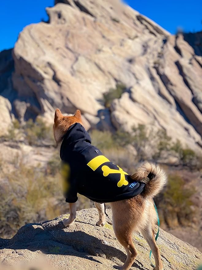ChoChoCho Stylish Dog Hoodie Dog Clothes Streetwear Cotton Sweatshirt Fashion Outfit for Dogs Cats Puppy Small Medium Large (XL, Yellow)