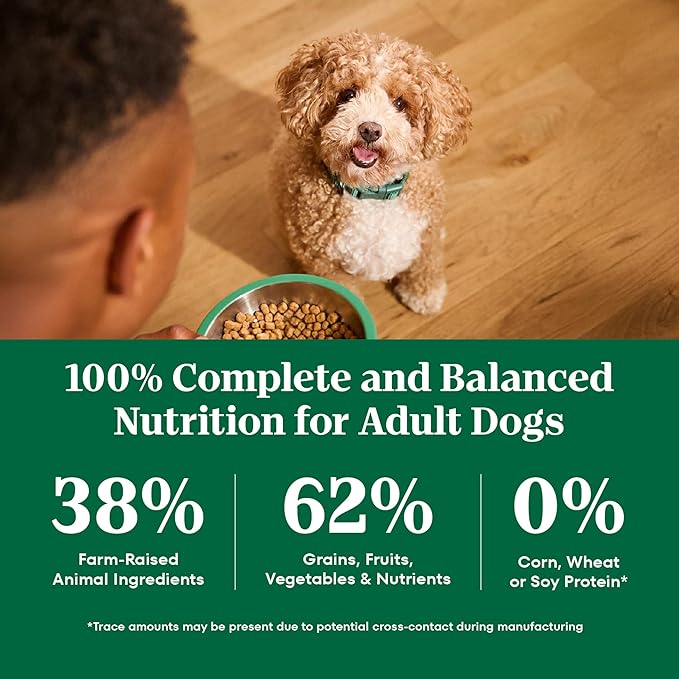 Nutro Natural Choice Lamb & Brown Rice Adult Small Bites Dog Food Recipe, 5 lb. Bag