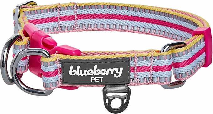 Blueberry Pet Safety Dog Collar with Dual D-Rings | 3M Reflective Multi-Colored Adjustable Collar in Pink and Pastel Blue | Soft Nylon Dog Collar for Active Large Dogs