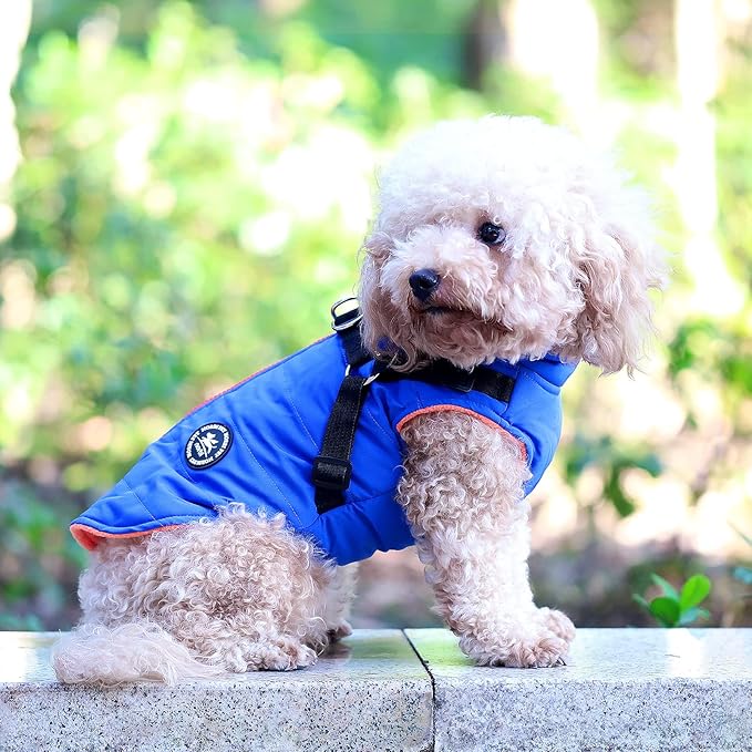 Norbi Pet Warm Jacket Small Dog Vest Harness Puppy Winter 2 in 1 Outfit Cold Weather Coat Medium