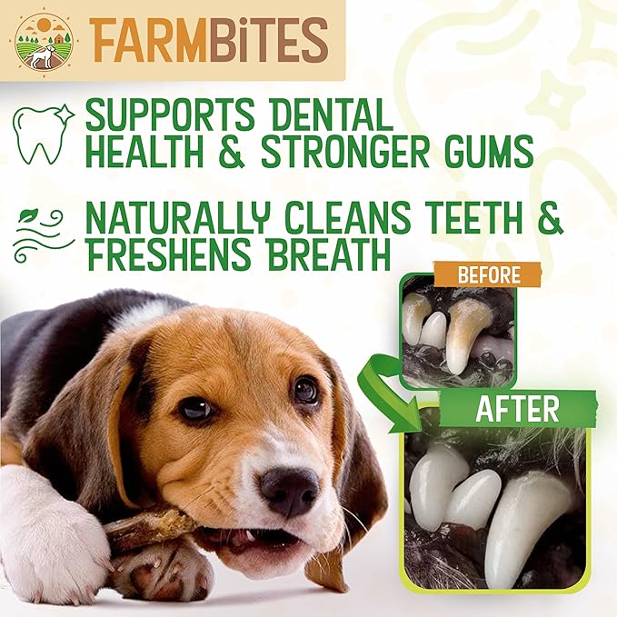 Bully Sticks for Dogs – 100% Natural, Odor-Free, Air-Dried Beef Pizzle, Grain-Free & Fully Digestible Dog Chews – Long Lasting Treats for All Breeds (6 Inch, 25 Pack)