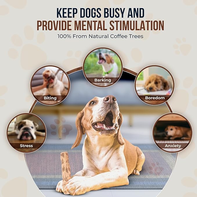 Coffee Wood Chew and Cotton Rope Toy for Dogs - 100% Natural, Organic Wood Stick for Chewers Teeth Cleaning, Training - Size M