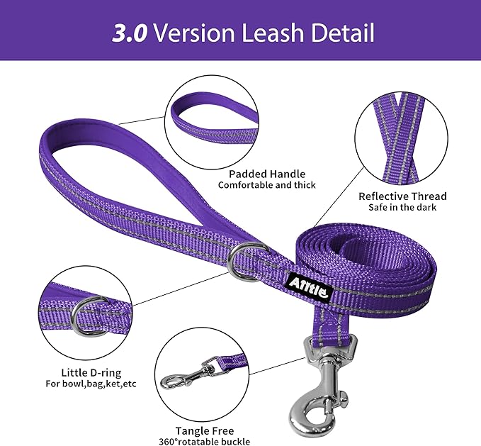 AIITLE Easy Walk Dog Harness and Leash Set - Pet Supply No Pull, Step in Adjustable Pet Harnesses with Padded Vest for Summer, No Choke Over, Easy to Put on Medium Dogs Purple L