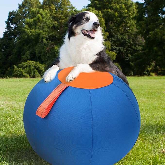 Dog Herding Ball for Dogs & Puppies, Toy Balls for Cattle, Australian Shepherd, Non-Chewing Activities, Large Dog Toy | Oxford Fabric Cover, Pump, with Patch Repair Kit (22 inch)