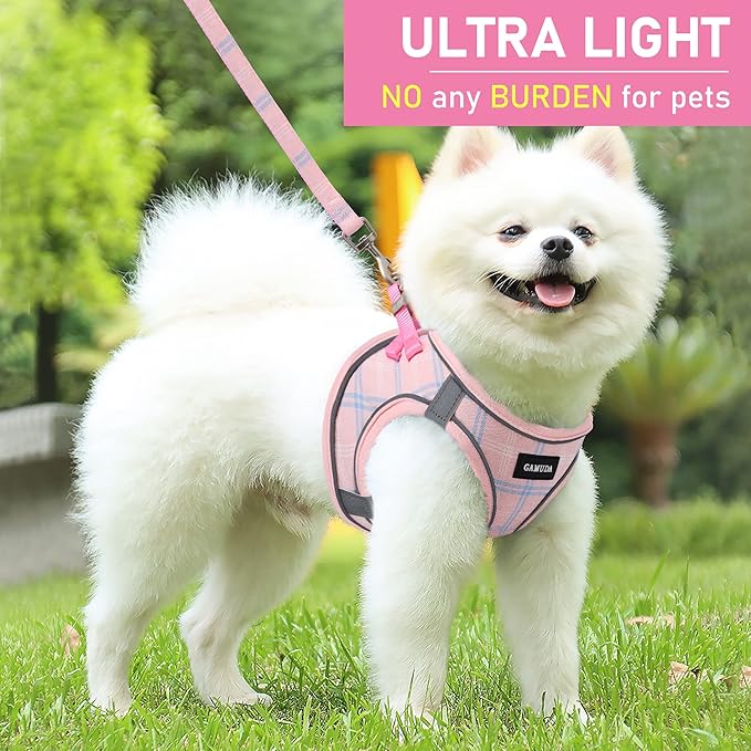 GAMUDA Small Dog Harness Collar and Leash Set, Step in No Chock No Pull Soft Mesh Adjustable Dog Vest Harnesses Plaid Reflective for Dogs Puppy Cats Kitten Rabbit (Pink, XL)
