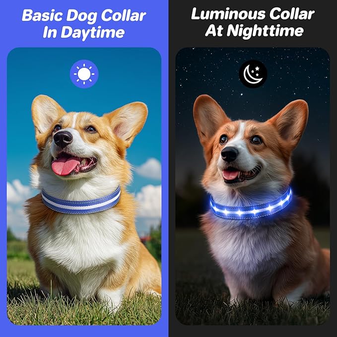PcEoTllar Light Up Dog Collars, Led Dog Collar, Rechargeable, Night Walking, Waterproof, Glow in The Dark Dog Collars Light for Large Small Medium Dogs, Blue m
