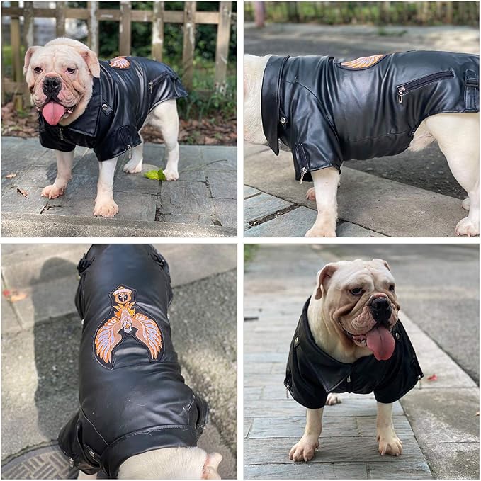 Lovelonglong Cool Dog Leather Jacket, Warm Coats Dogs Windproof Cold Weather Coats for Large Medium Small Dogs with Eagle Embroidery Black B-M