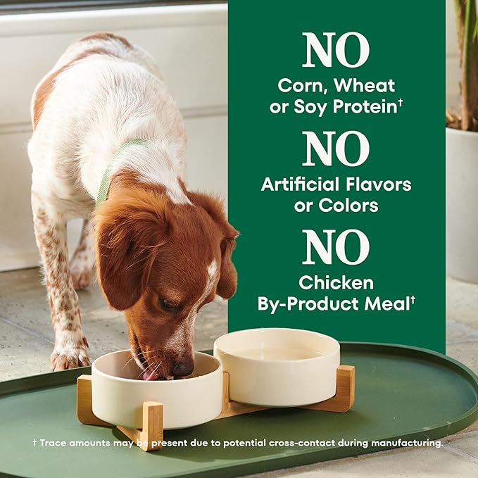 Nutro Natural Choice Chicken & Brown Rice Small Breed Senior Dog Food Dry Recipe, 5 lb. Bag