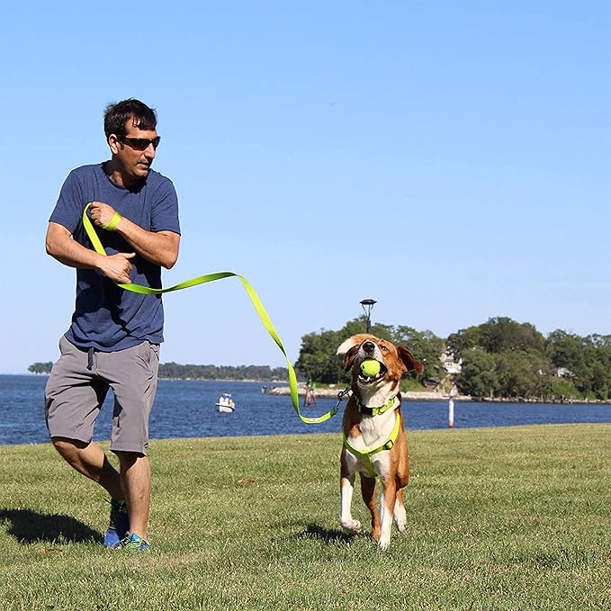 Pawtitas 6 FT Solid Color Leash for Puppy & Cat Training - Extra Small, 6 ft or 1.8 m, Blue