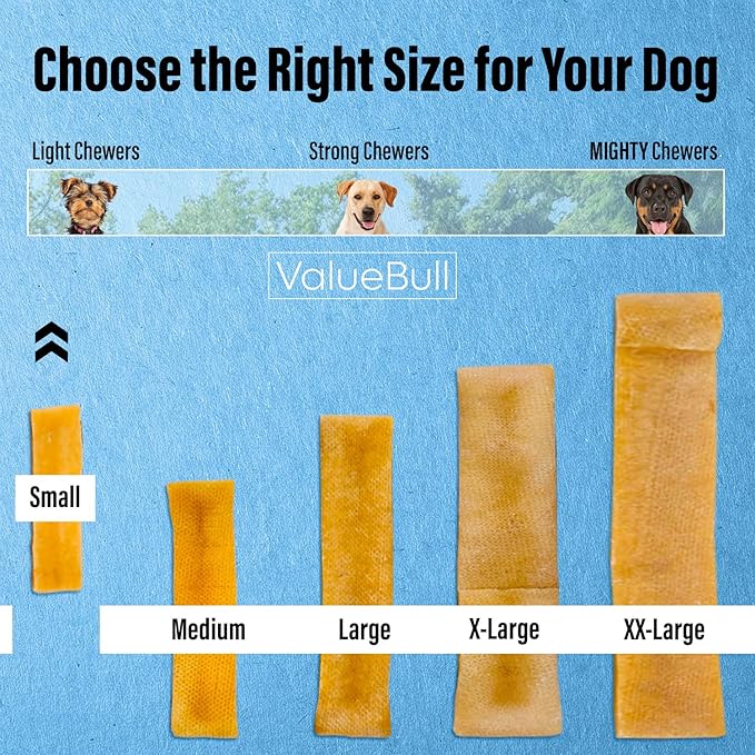 ValueBull Himalayan Yak Cheese Dog Chews, Small, 100 ct Wholesale Pack - Long Lasting for Aggressive Chewers, All Natural, Healthy & Safe, Low Odor Nepal Yak Milk Chews