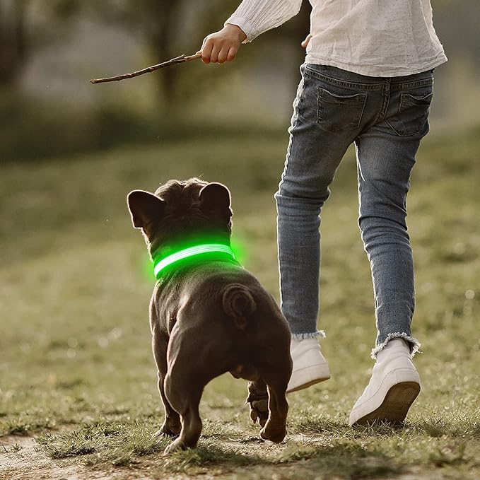 YFbrite Full Adjustbale LED Dog Collar, Full Illuminated Light up Dog Collars, Reflective Dog Collar Light Glowing in The Dark for All Dogs Safety (Small, Green-2)