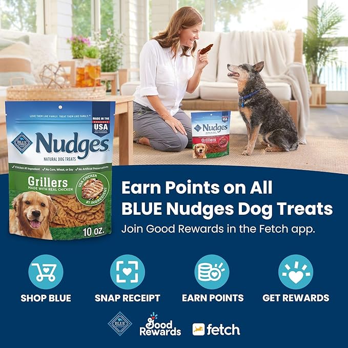 Blue Buffalo Nudges Jerky Bites Dog Treats, Made in the USA with Natural Ingredients, Bite-Sized Pieces, Chicken, 16-oz Bag