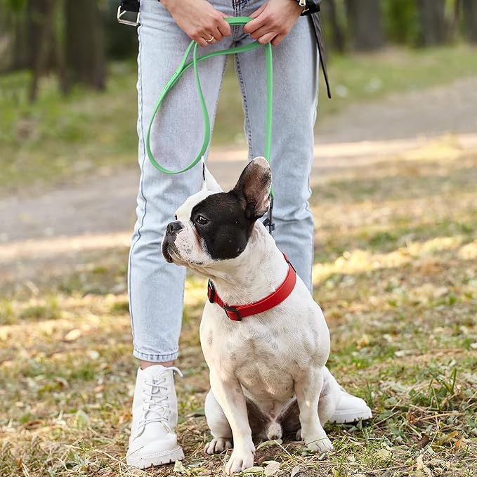 Dogline Biothane Waterproof Dog Leash Strong Coated Nylon Webbing with Black Hardware Odor-Proof Easy to Clean High Performance for Small or Large Dogs Made in USA 4 or 6 ft Lead, Sea Foam Green