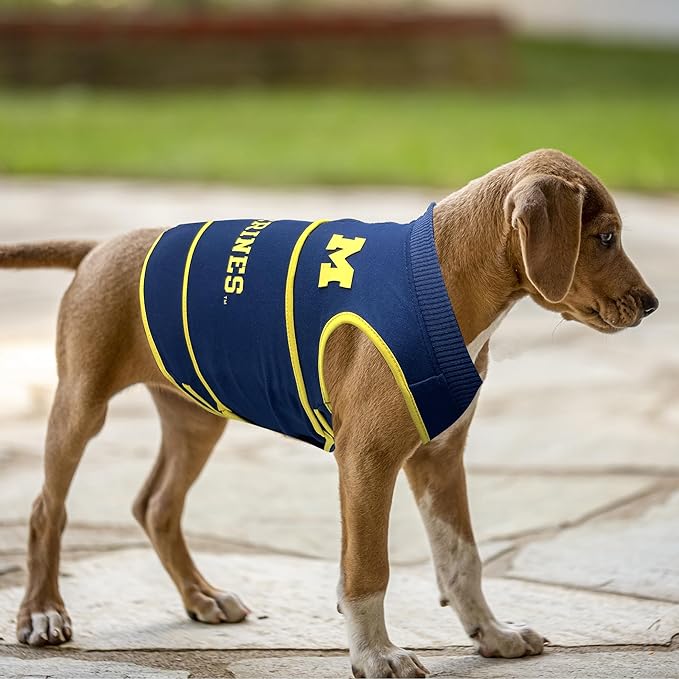 NCAA Michigan Wolverines Dog Anxiety Shirt Calming Soothing Vest, Dogs Cats with Anxiety, Fears, Fireworks, Loud Noises, Dark, Lonely Keeps Dogs Calm & Feeling Safe, Relaxing Jacket, Medium