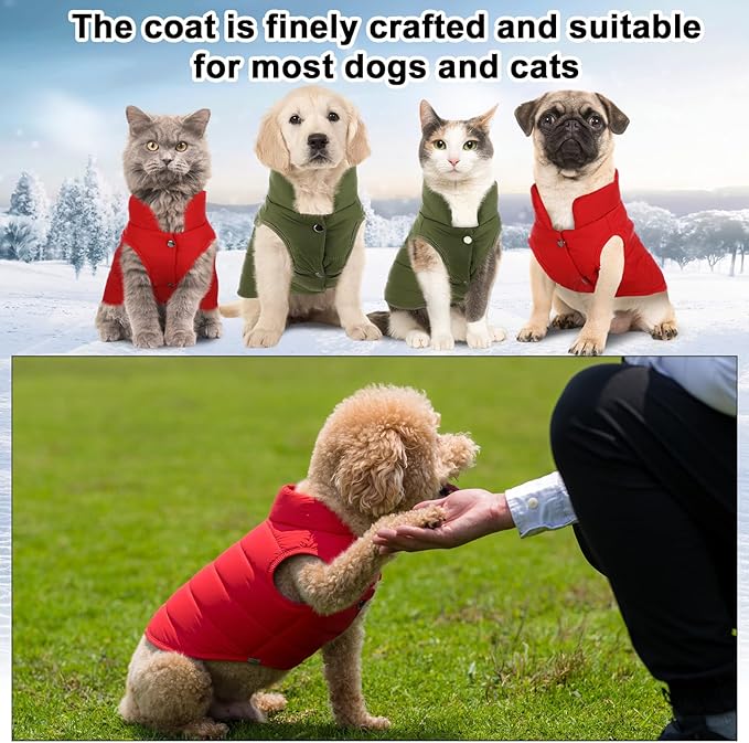 Syhood 2 Pieces Dog Jacket 2 Layers Fleece Lined Dog Jacket Warm Soft Windproof Small Pet Coat for Cold Winter Weather (L,Red,Green)