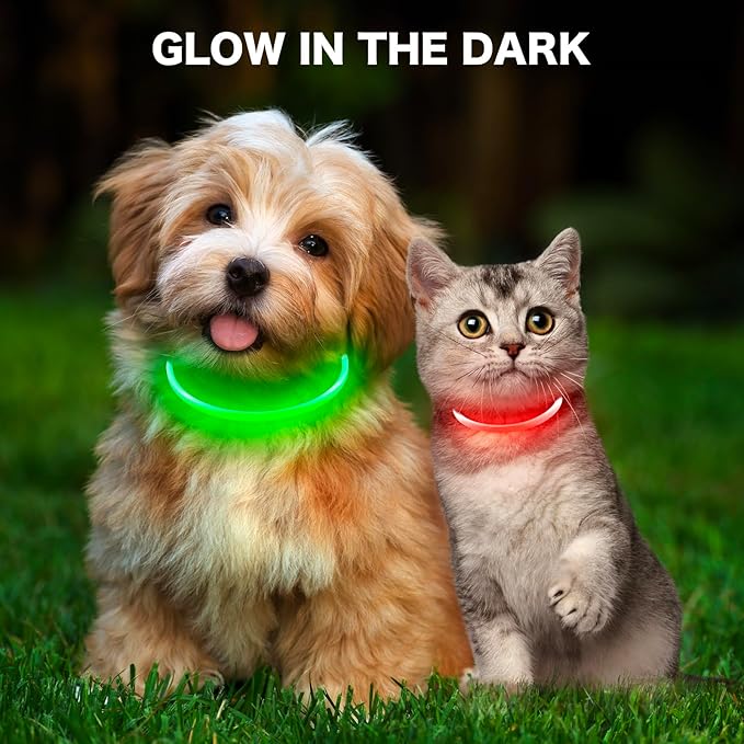 BSEEN Light Up Dog Collar - Rainproof LED Dog Collar Rechargeable - TPU Cuttable Glowing Puppy Collar for Small Dogs& Cats, High Visibility Safety Dog Lights for Night Walking (XS-Red 40cm)