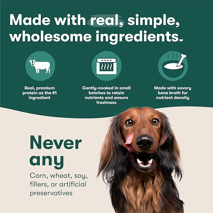 Jinx Beef Wet Dog Food Pouches, Meal or Dog Food Topper Mix-in, Made with Real Beef & Chicken, Bone Broth, No Fillers - Puppy, Adult, Senior, 3oz, 8 Pack