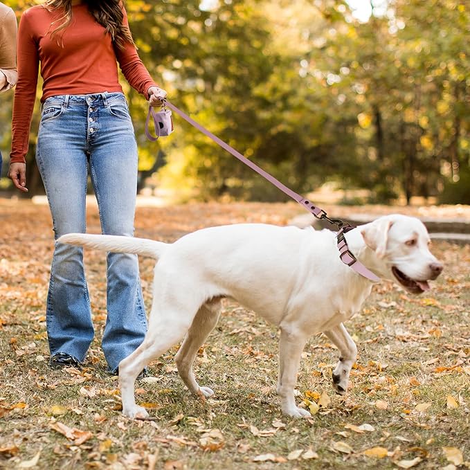 Wisedog Dog Collar and Leash Set, Waterproof Adjustable Puppy Collars with Cute Tag 6FT Dog Leash with Poop Bag for Small Medium Large Dogs (M, Pale Pinkish Purple)