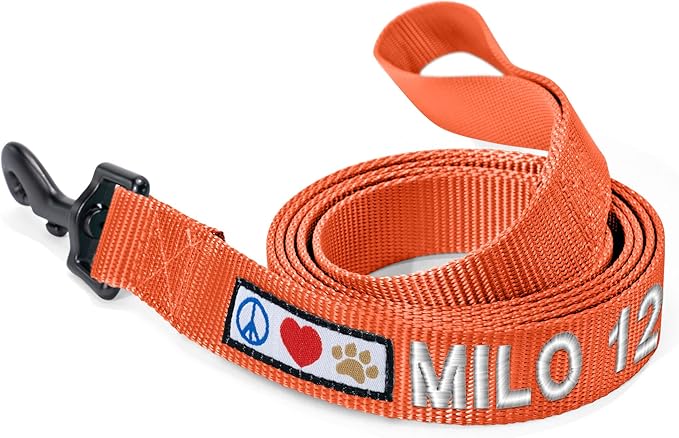 Pawtitas Personalized Dog Leash - Embroidered Custom Leash with Pet Name & Phone Number, 6 ft Long, Extra Small, Orange