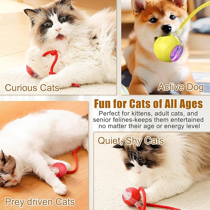 Interactive Cat Toy Balls,2025 New Interactive Rolling Cat Balls,Smart Automatic Rolling Pet Ball,Automatic Obstacle Avoidance Cat Toy with Rope for Cat & Dog (Gray)
