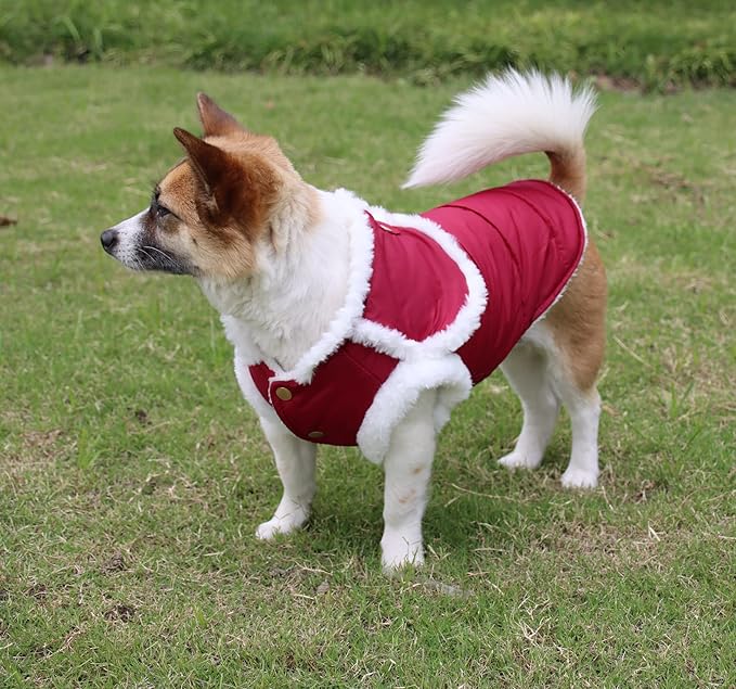 Shawl Design Fleece Lined Warm Dog Jacket for Puppy Winter Cold Weather,Soft Windproof Small Dog Coat,Red M