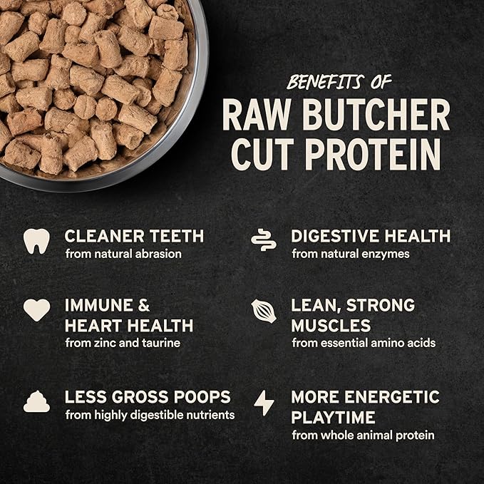 Vital Essentials Freeze-Dried Raw Beef Meal or Mixer Dog Food Soft Nibs | 98% Beef, Organs & Bone | 14 oz