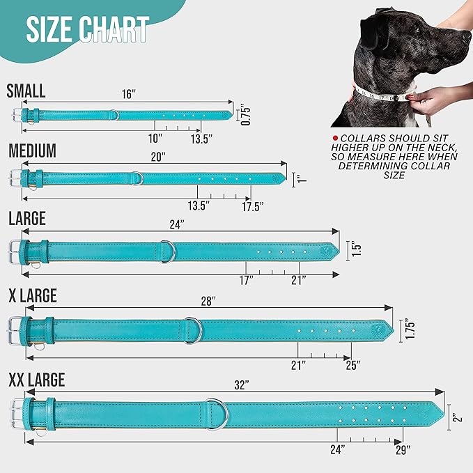 Riparo Adjustable Leather Dog Collar - Heavy Duty Wide Dog Collar for Small, Medium, Large and Extra Large Dogs with Dog Tag Holder, Blue Dog Collars (XL: 1.75" Wide for 21”-25” Neck, Aqua)
