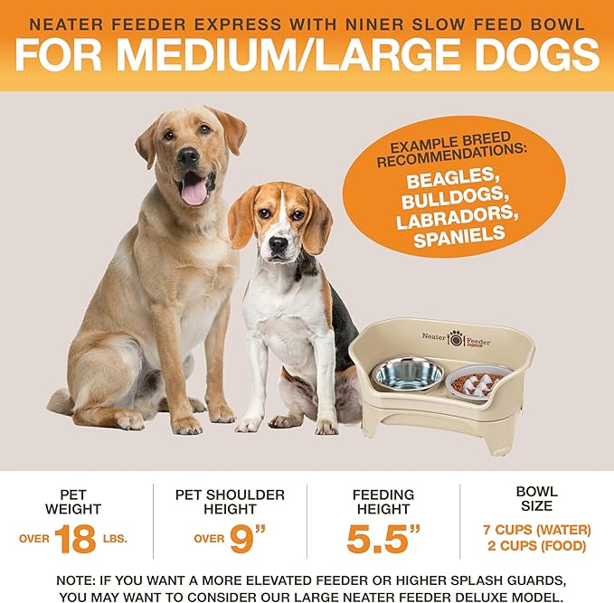 Neater Feeder Express Mess Proof Dog Bowls Elevated for Medium and Large Breed – Made in USA – No Spill Raised Slow Feeder Elevated Dog Bowl Stand, Slow Feed Food and Water Bowl Set, Almond