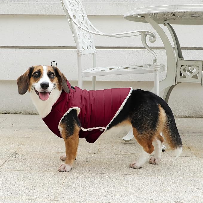 Fleece Lining Dog Hoodie with Harness Built in,Extra Warm Large Dog Jacket in Winter Doggie Coats with Drawstring Hooded,Red XXXL