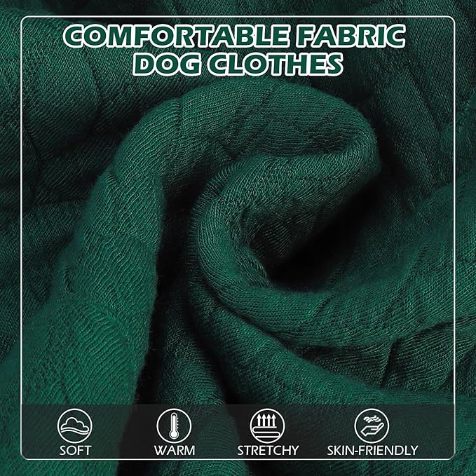 EXPAWLORER Textured Cable Knit Basic Dog Hoodie, Elevated Style Dog Sweater with Leash Hole and Pocket, Soft and Warm Pet Winter Coat, Cold Weather Clothes for Small Medium Large Dogs Cats, Green XS
