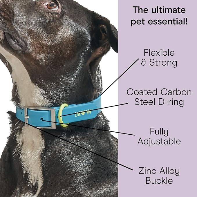 Wild One, Limited Edition, Designer Collection, Blue Dog Collar, Easy-Clean, All Weather Flex-Poly Strap with Metal, Durable, Dirt and Odor Resistant, XSmall
