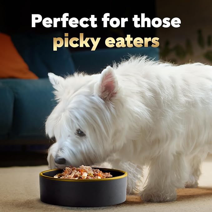 Cesar Simply Crafted Adult Wet Dog Food Meal Topper, Chicken, Carrots, Barley & Spinach, 1.3oz. (10 Count, Pack of 1)