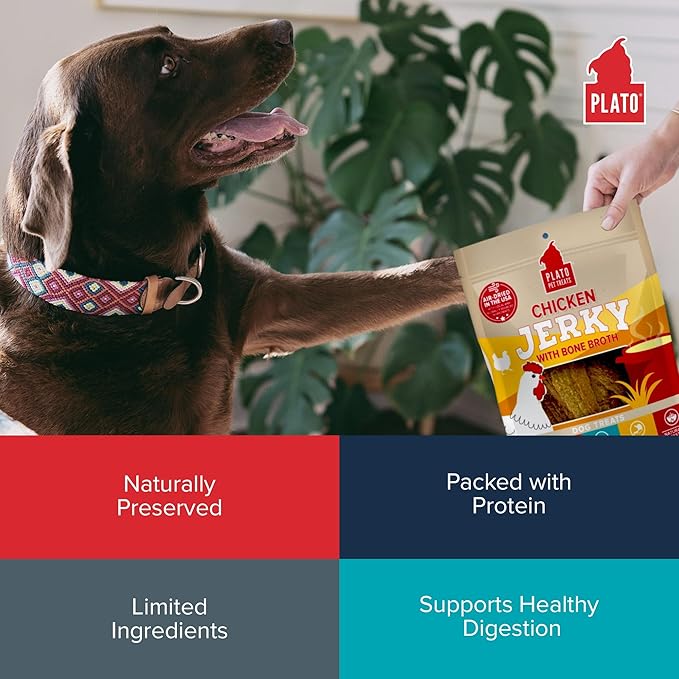 PLATO Pet Treats Jerky Dog Treats - Air-Dried Jerky for Dogs - Delicious, Real Meat Dog Treats - Grain Free - Supports Healthy Digestion - Chicken Jerky with Bone Broth 7oz