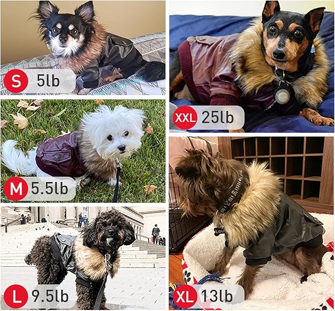 LESYPET Dog Leather Jacket for Small Dogs, Waterproof Dog Winter Jacket Puppy Coat with Fleece Lined, Ultra Warm Fur Collar Doggie Coat, Red M