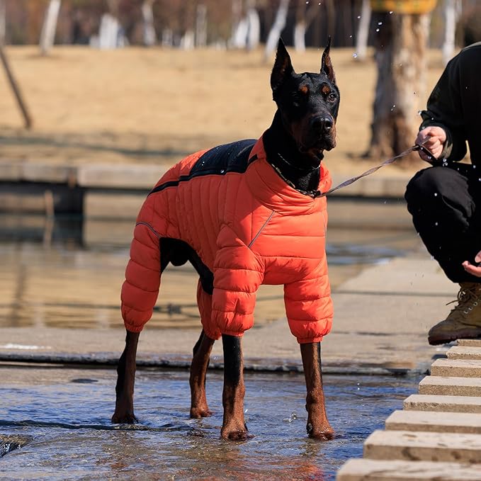 Warm Dog Coat, 4 Legs Covered Waterproof Windproof Reflective Vest, Zippered Adjustable Outdoor Snow Jacket for Small Medium Large Dogs Orange XXXL