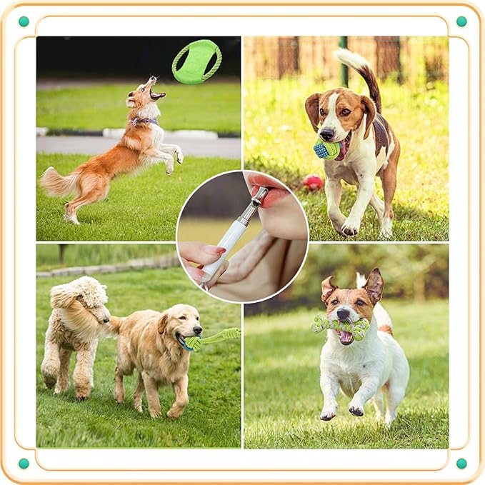 2 Pack Dog Whistle - Adjustable Ultrasonic Silent Dog Training Whistle for Effective Bark Control, Professional Recall and Training, Includes Lanyard