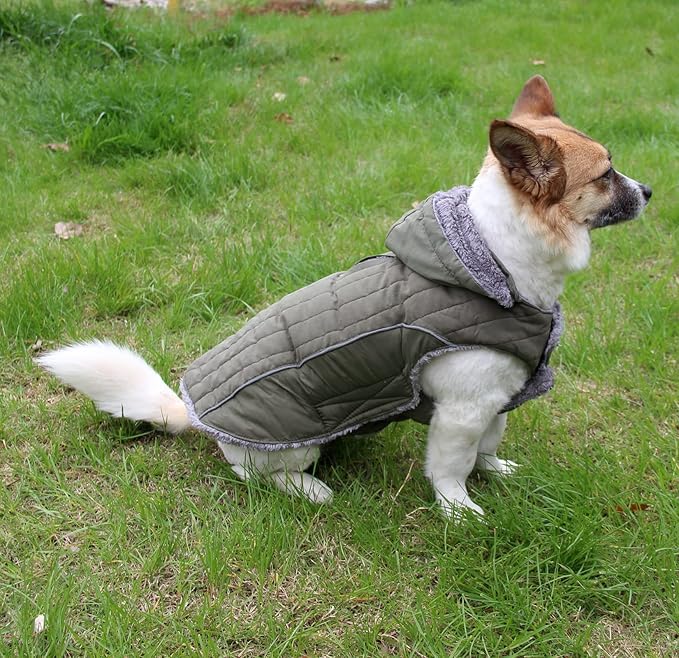 Fleece Dog Hoodie for Small Dogs Super Warm Puppy Jacket for Cold Winter Dog Coats,Green S