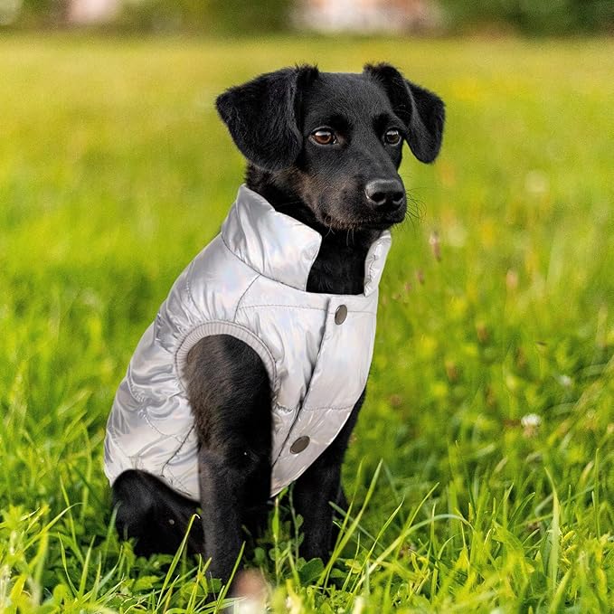ASENKU Dog Winter Coat - Waterproof Windproof Dog Jacket, Warm Snowproof Doggie Puffer Vest for Cold Weather, Lightweight Snow Coats for Small Medium Large Dogs (Silver, S)