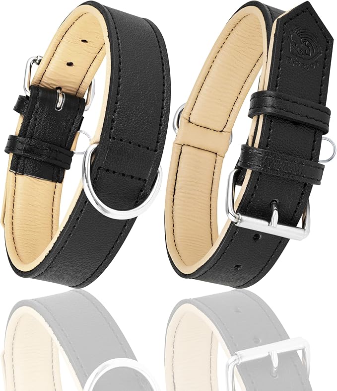 Riparo Genuine Leather Padded Dog Heavy Duty K-9 Adjustable Collar (XXL: 2” Wide for 24”-29” Neck, Black)