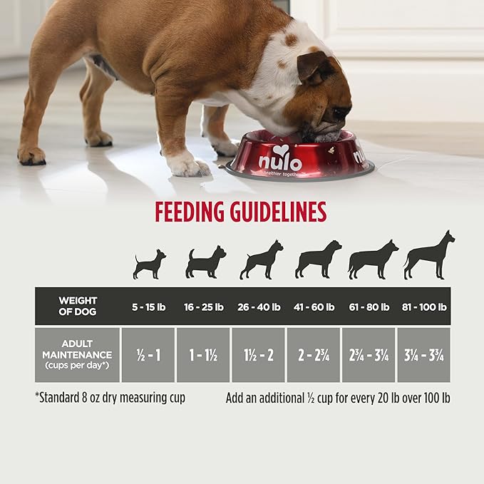 Nulo Frontrunner Ancient Grains High-Protein Dog Food, Beef, Barley, & Lamb Recipe- Natural Dry Dog Food with Probiotics, Grain-Inclusive Kibble for Adult Dogs, 25 lb Bag